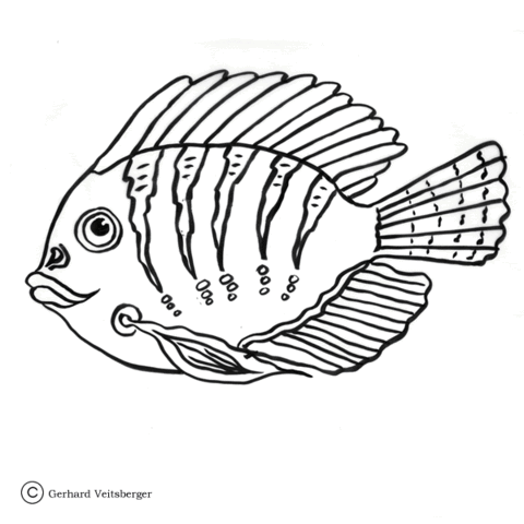 Cartoon Tang Coloring Page